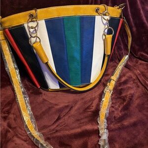 Multicolor Striped Women's Bag